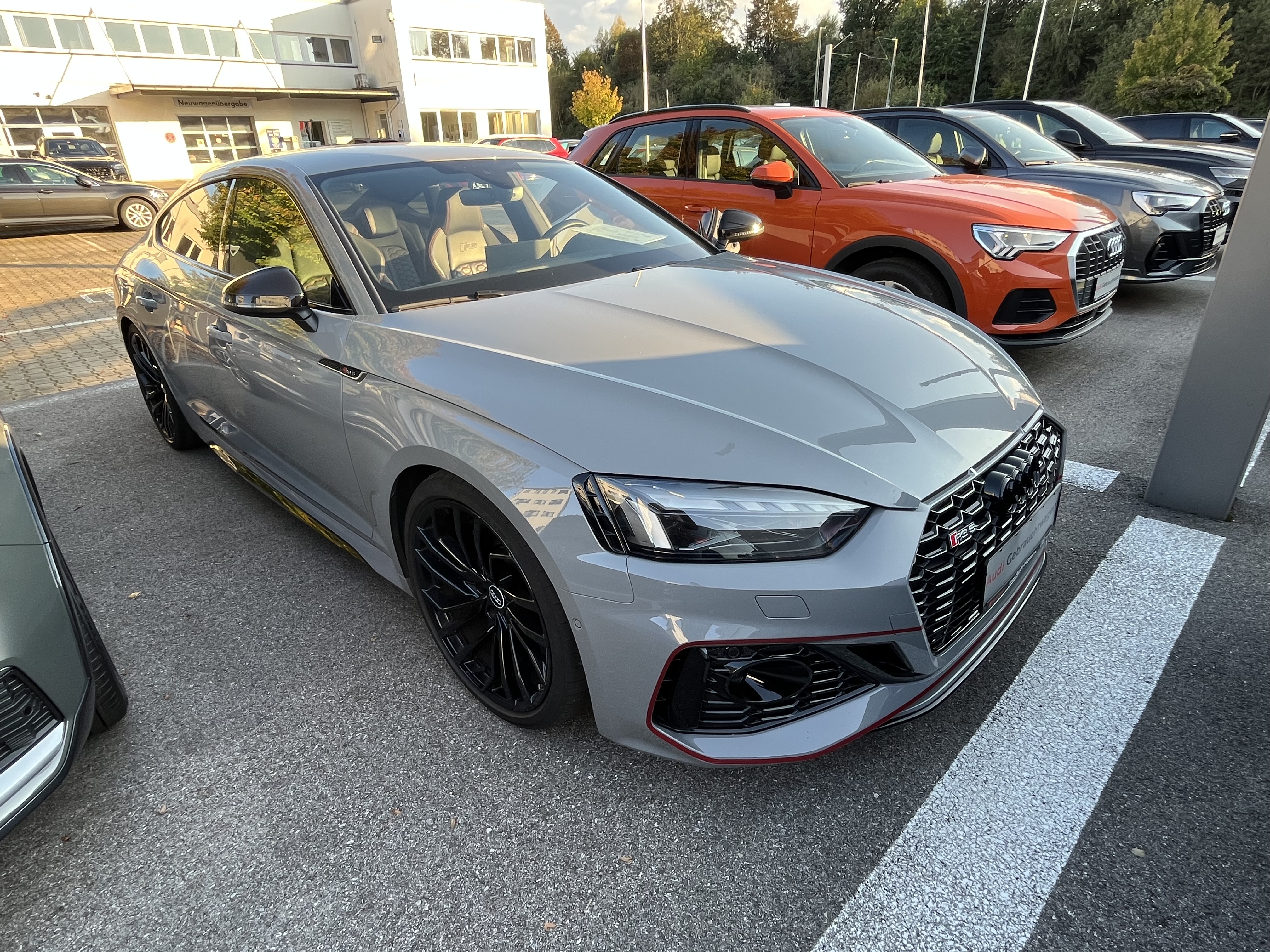 Audi RS5 - Verificare AutoProfiCheck